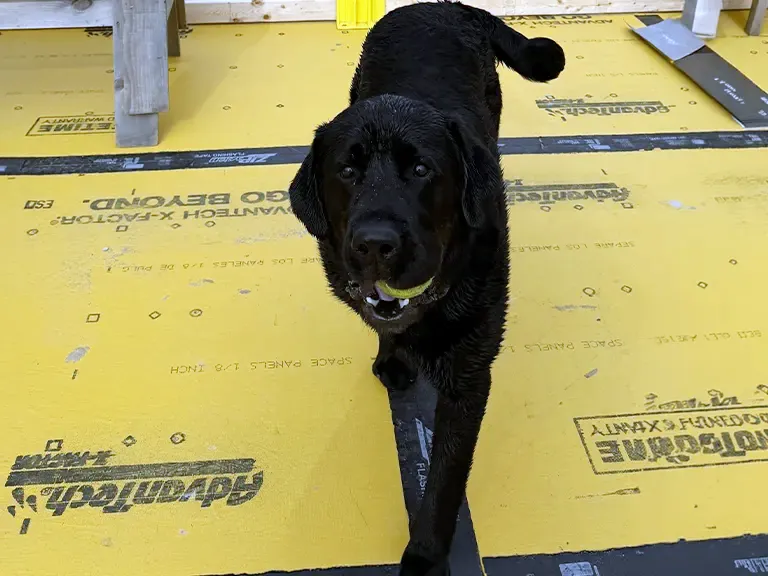 Onyx - Job Superintendent