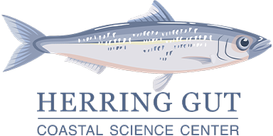 Herring Gut Learning Center